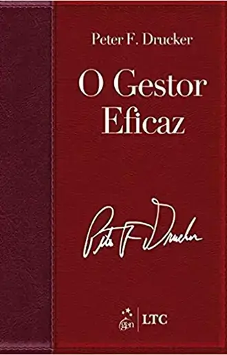 O Gestor Eficaz v2